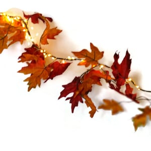 May include: A garland of artificial fall leaves with small, warm white lights strung through them. The leaves are in shades of red, orange, and yellow.