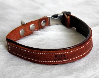 Puede incluir: Un collar de perro de cuero marrón con costuras blancas y una hebilla de metal plateado. El collar tiene el nombre "BELLA" y un número de teléfono. Diseñado para mascotas.
