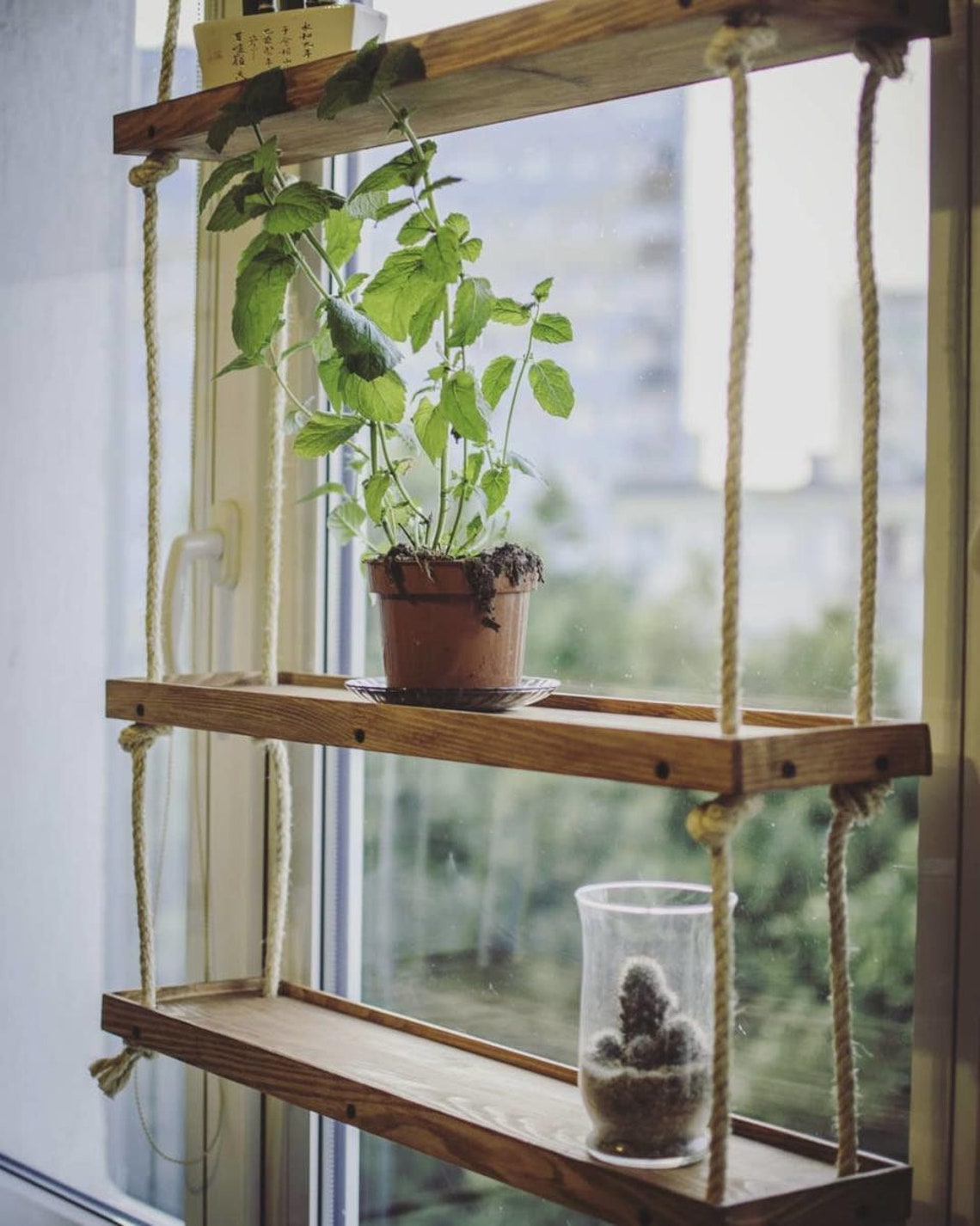 Schwimmende Pflanze Regale Küche FensterRegal hängende Kraut Etsy