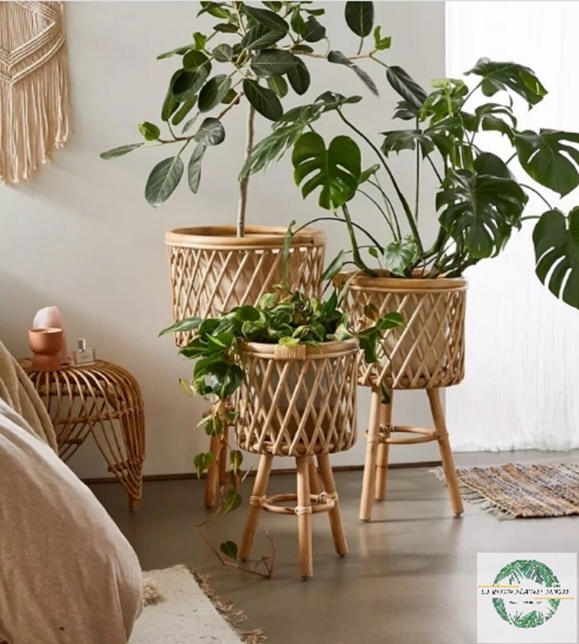 Rattan Standing Plant hanger Hanging Air plant holder Plants Etsy