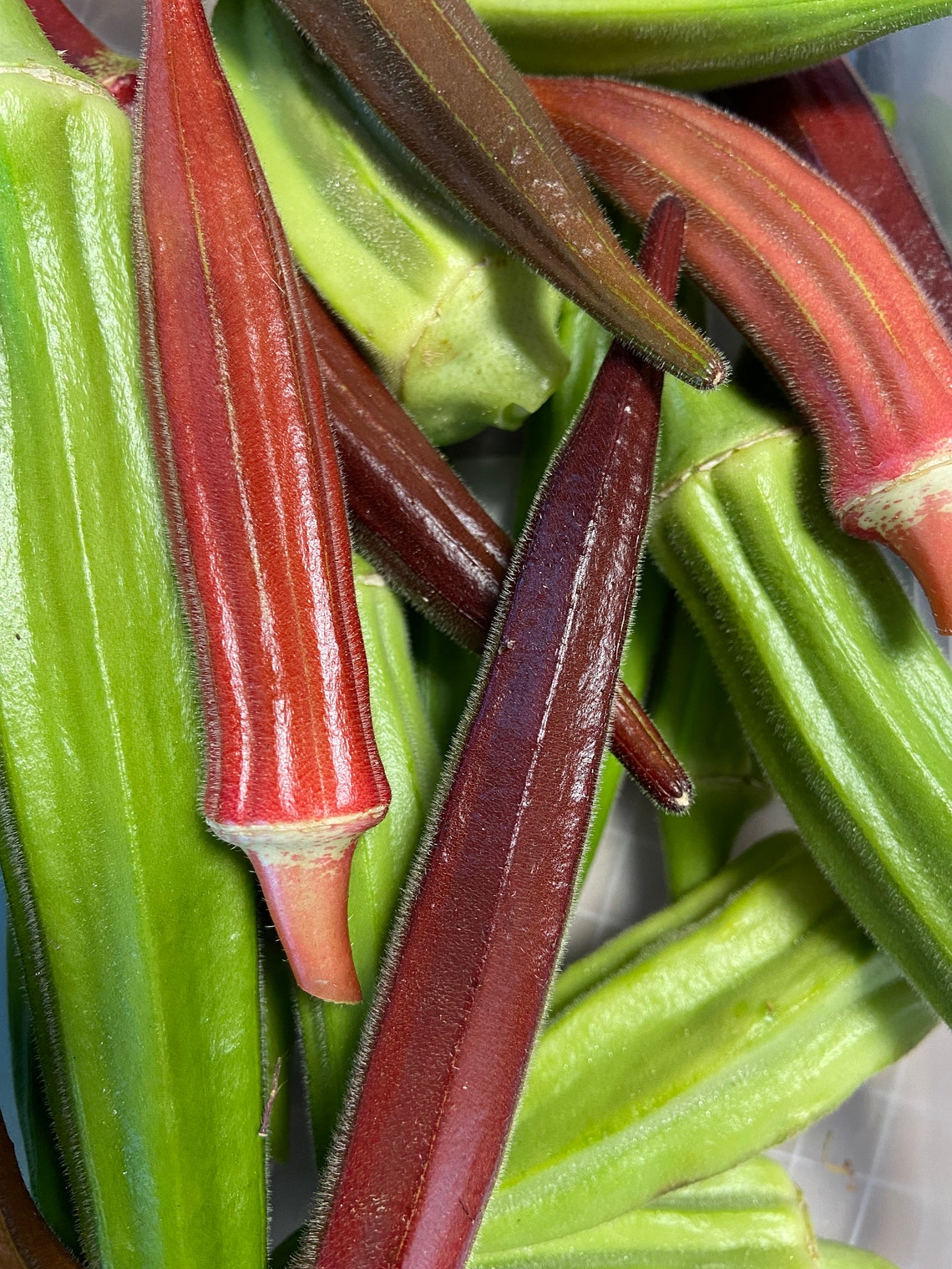 Heirloom Okra Mix Etsy