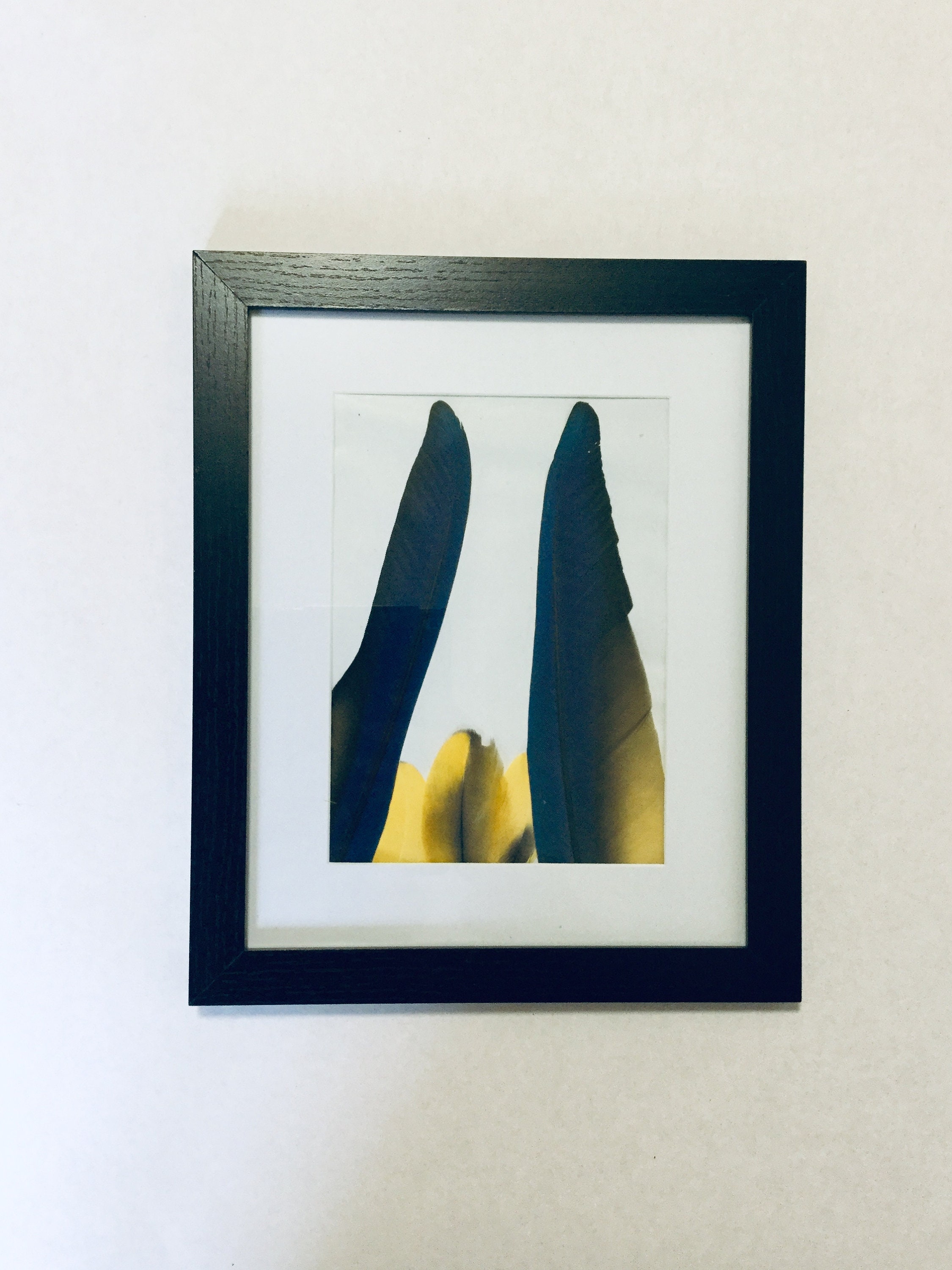 Cadre Plumes Collection Symetric