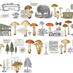 MXYT Mushroom | One Loop Sample Washi Tape | Scenes Stickers, Junk Journal supplies, planner sticker, Scrapbooking Supplies