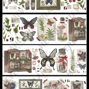 NLUNDO Waiting for You | One Loop Sample PET Tape | Flower Stickers, Junk Journal supplies, planner sticker, Scrapbooking
