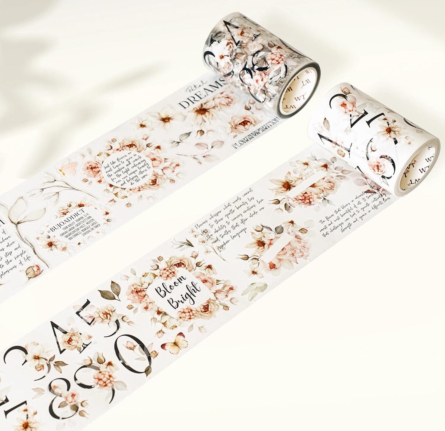 WT Rose Scripts / Muestra de un bucle o rollo de cinta de PET