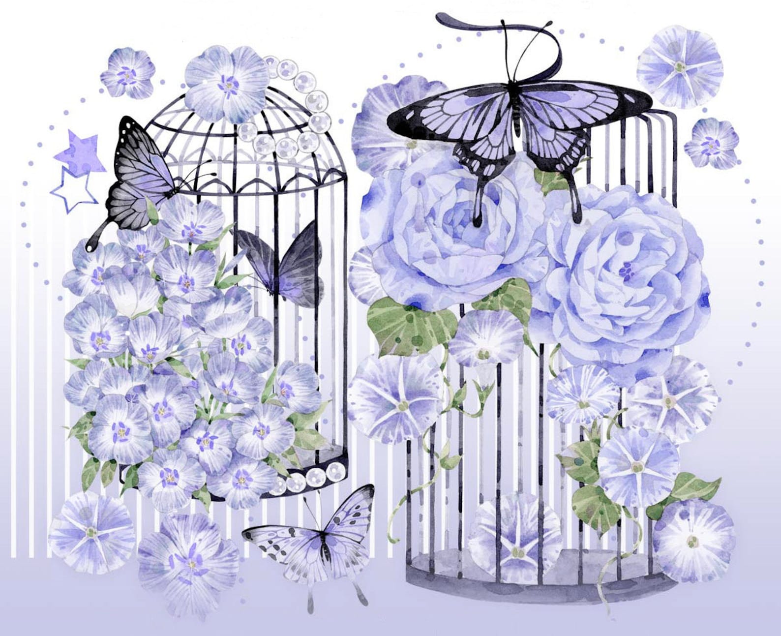 Miststd Butterfly Cage | One Loop Sample or Roll PET Tape | Flower ...