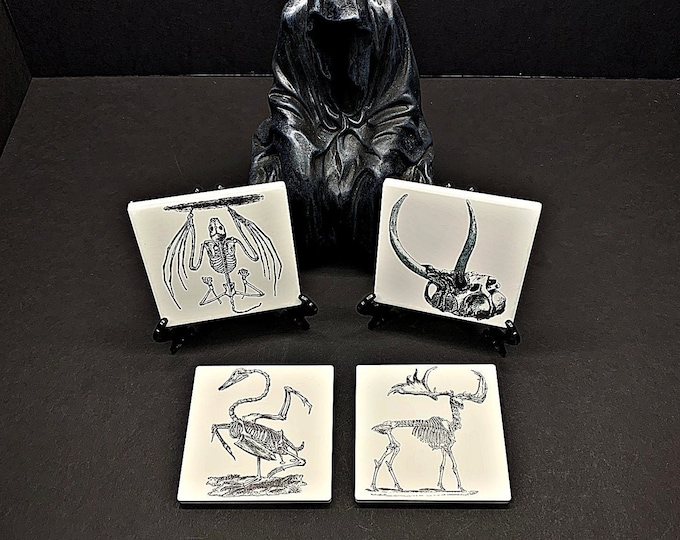 Animal Skeleton Ceramic Drink Coaster, Gothic or Halloween Home Decor, Horror Coasters, Spooky Decor, Anatomical Gift