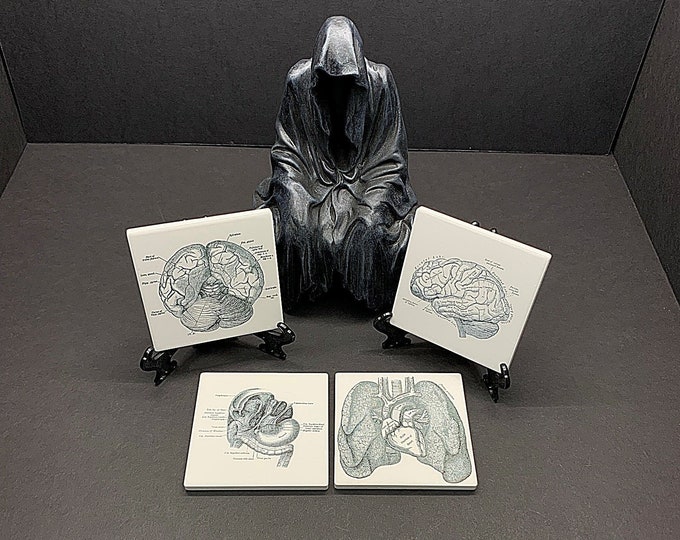 Anatomically or Anatomy Printed Ceramic Coaster, Medical Prints, Gothic or Halloween Home Decor, Skeleton Digital Print, Horror Coasters,