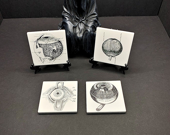 Anatomical Drink Coaster, Medical Eye Prints, Gothic or Halloween Home Decor, Skeleton or Skull Digital Print, Horror Coasters, Ceramic Tile
