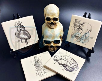 Ceramic Coaster with Anatomy or Anatomically Printed Design, Gothic Home Decor, Medical, Horror, Halloween or Spooky Decor, Anatomy Art