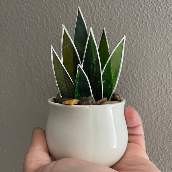 Mini Stained Glass Agave Plant