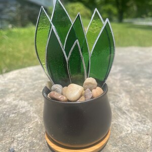 Mini Stained Glass Agave Plant image 6