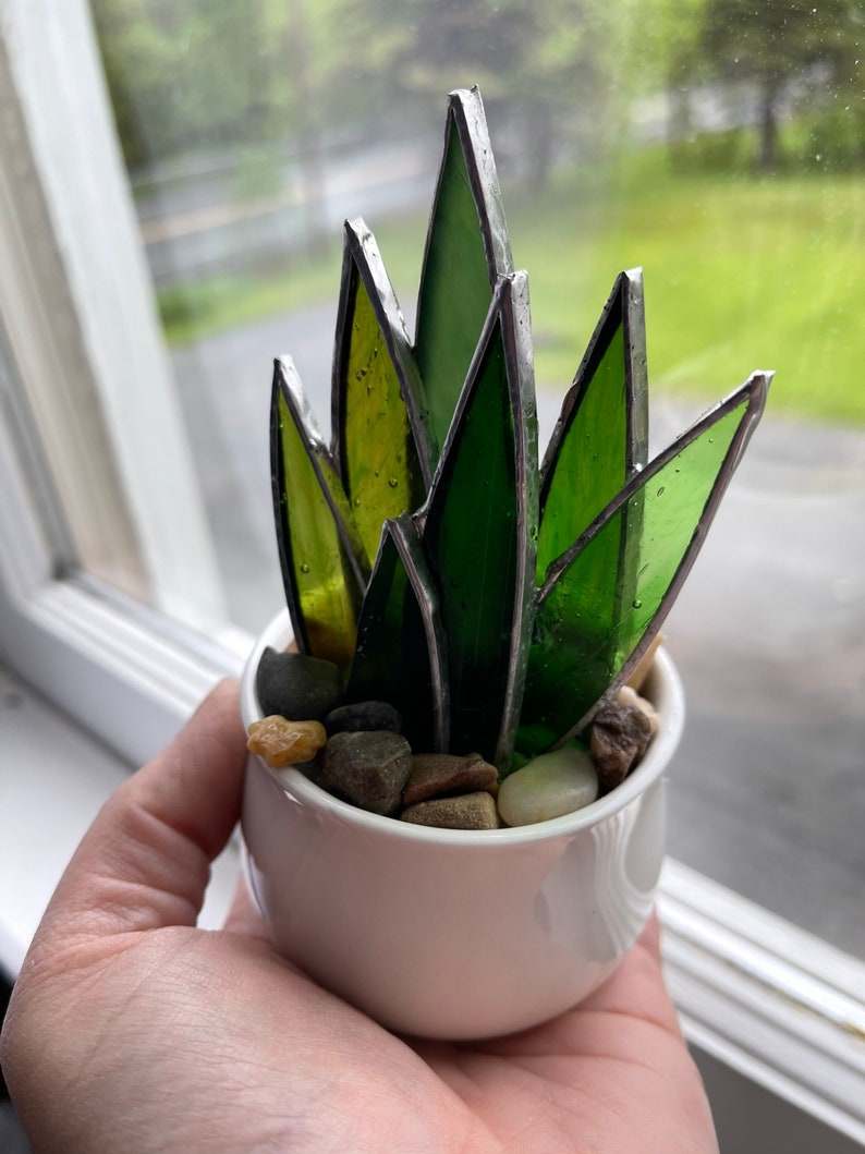 Mini Stained Glass Agave Plant image 4