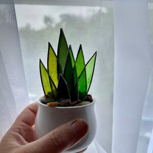 Mini Stained Glass Agave Plant image 2