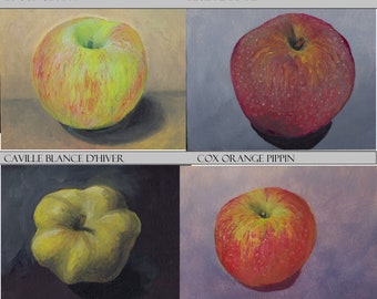 Apples -prints of oil paintings