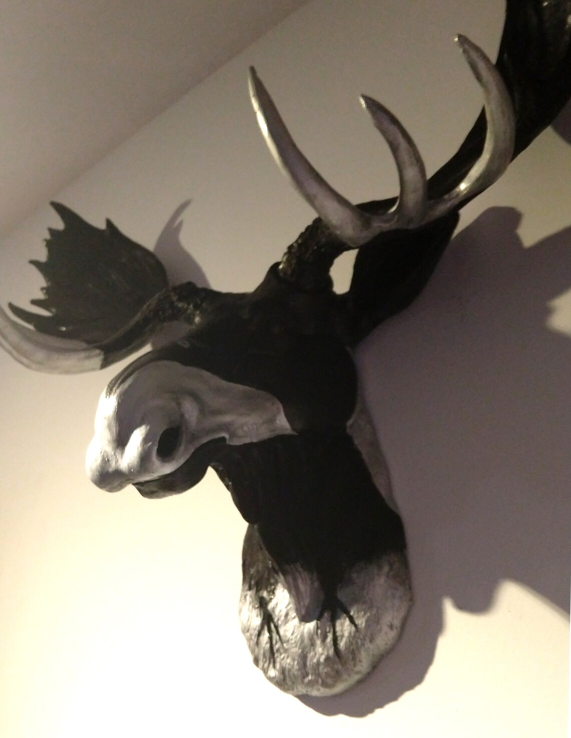 Moose Head wall mount Raven Moose Large Moose Head Wildlife | Etsy