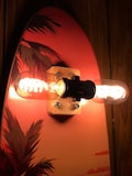 Skateboard Light Kit: Dimmable LED bulbs, Colored Wood Truck DIY