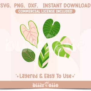 Tropische Blätter Bundle SVG - Monstera PNG Datei - ästhetische Aufkleber Datei für Cricut Silhouette - Natur Pflanze Liebhaber Bundle svg
