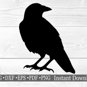 Halloween Crow svg, Bird svg File, Raven png, Bird Cut File, Halloween Decor svg, Commercial Use Design