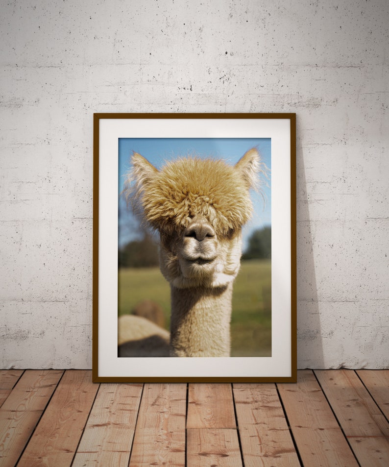 LuLu Digital Print Alpaca