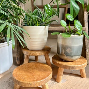 May include: Three wooden plant stands with three legs each. The stands are made of natural wood and have a rustic finish. The stands are different sizes and are supporting three potted plants.