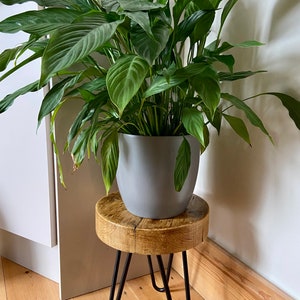 May include: A gray ceramic planter with a green peace lily plant sits on a wooden stool with black hairpin legs. The stool is on a light wood floor.