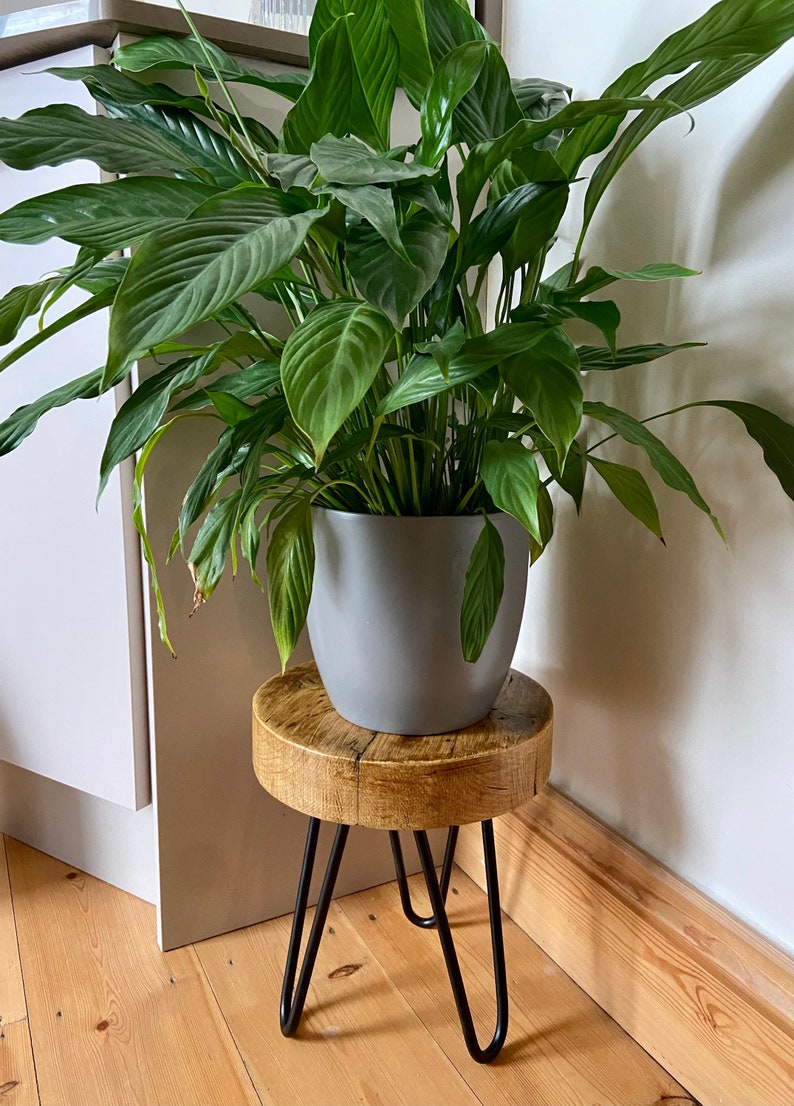 May include: A gray ceramic planter with a green peace lily plant sits on a wooden stool with black hairpin legs. The stool is on a light wood floor.