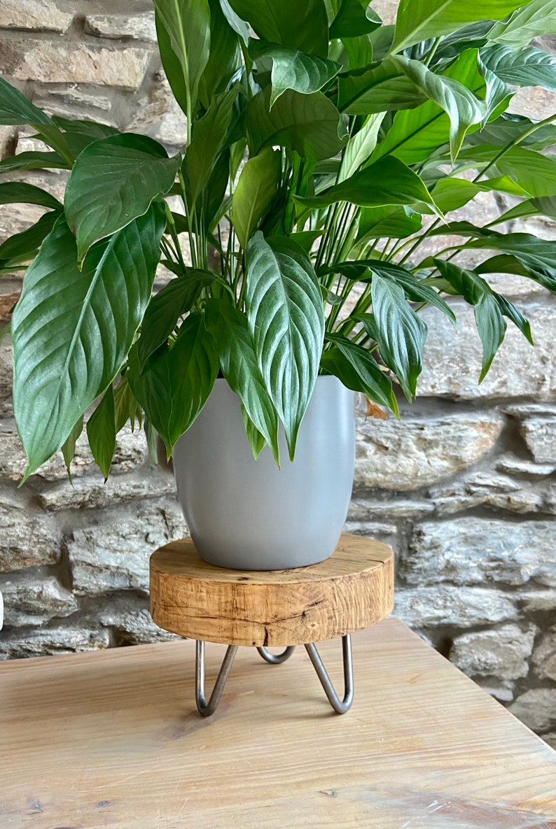 May include: A gray ceramic planter with a green peace lily plant on a wooden plant stand with metal legs.