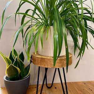 May include: A wooden plant stand with black hairpin legs. The stand is topped with a round wooden surface and has a white planter with a green plant on top.