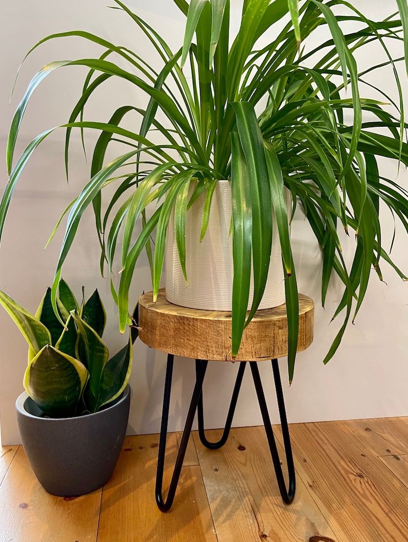 May include: A wooden plant stand with black hairpin legs. The stand is topped with a round wooden surface and has a white planter with a green plant on top.