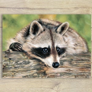 A6 Postkarte Waschbär ~ Tierporträt Grusskarte Kunstpostkarte Zeichnung Print Geburtstagskarte Raccoon Love Tierliebe