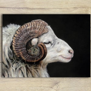A6 Postkarte Widder ~ Tierporträt Grusskarte Kunstpostkarte Zeichnung Print Geburtstagskarte Aries Sternzeichen Mystisch Zodiac