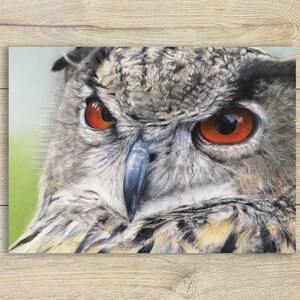 A6 Postkarte Eule Pastell Mystisch ~ Waldtiere Tierporträt Grusskarte Kunstpostkarte Zeichnung Print Geburtstagskarte Eulenliebe Nachteule