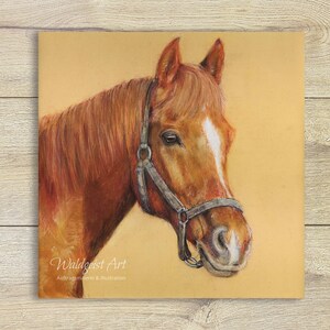 A6 Postkarte Pferd Pastell Heimat ~ Tierporträt Glück Grusskarte Kunstpostkarte Zeichnung Print Geburtstagskarte