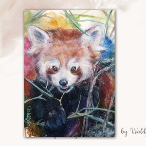 A6 Postkarte Roter Panda ~ Porträt Aquarell ~ Grusskarte Kunstpostkarte Malerei Print Geburtstagskarte Asiatisch Tiere