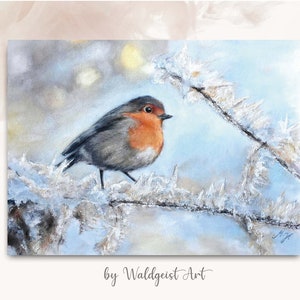 A6 Postkarte Rotkehlchen ~ Tierporträt Grusskarte Geburtstagskarte Winter Winterpostkarte Wintergrußkarte Robin Vogelzeichnung Vogelmalerei
