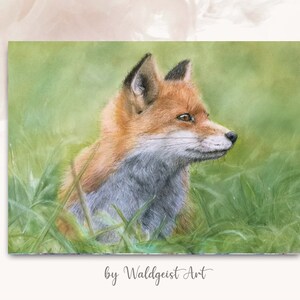 A6 Postkarte Fuchs ~ Tierporträt Grusskarte Kunstpostkarte Zeichnung Print Geburtstagskarte Heimat Natur Love Tierliebe