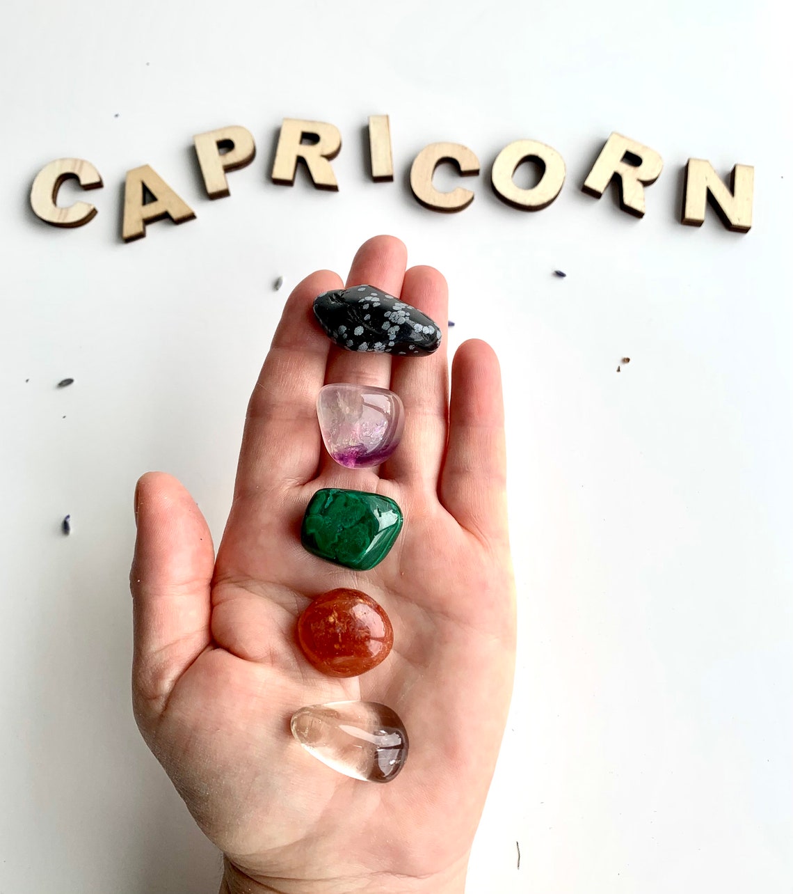 Cristales curativos de Capricornio en una bolsa /piedras Etsy