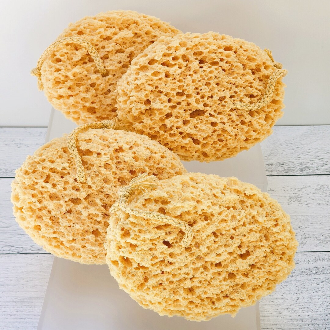 Sea Foam Sponge - Etsy