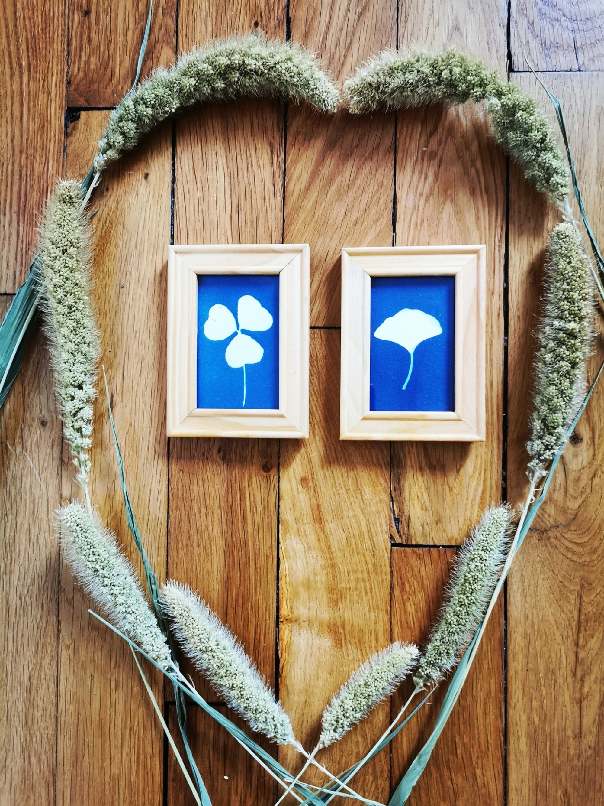 Cyanotypes Encadrés Trèfle et Gingko