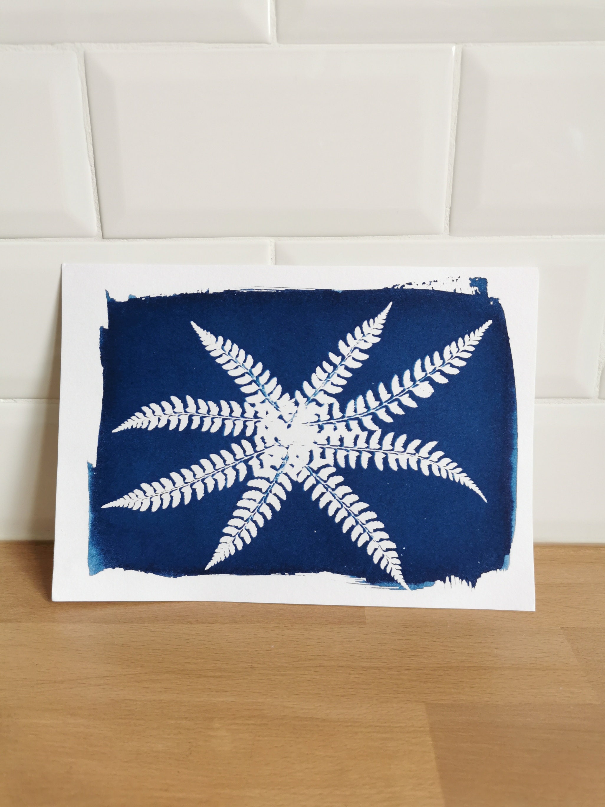 Cyanotype Étoile de Fougères