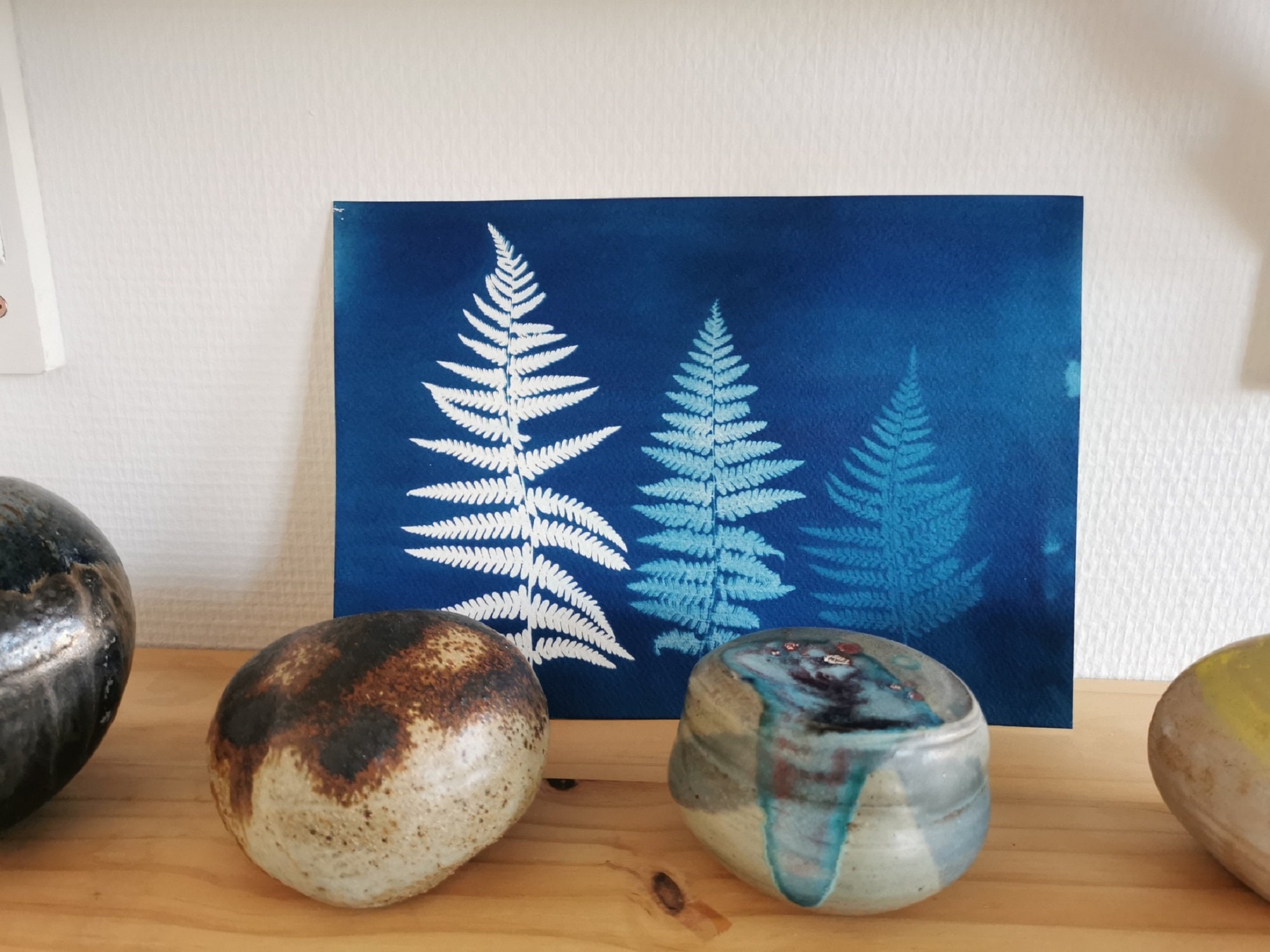 Cyanotype Dégradé Fougères