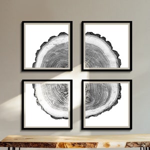 Black and White art, Set of 4, Tree Ring Prints, Tree stump, Tree ring print, Tree ring wall art,  Large art prints,  PRINTABLE WALL ART