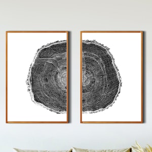 Tree Rings, Set of 2, Printable Wall Art, Log Rings, Black and White, Tree Stump, Instant Download, Digital Print, Wood Slice Prints