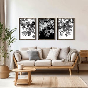 Black And White Art Prints, Maple Tree Leaves Wall Art, Set of 3, Leaves Wall Art, Autumn Art Prints, PRINTABL ART, 18X24