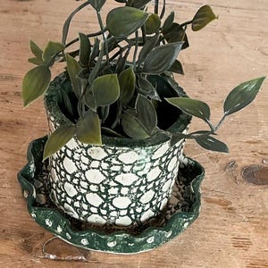 May include: A cylindrical ceramic planter with a white and dark green crackle glaze pattern, featuring a matching scalloped-edge saucer base. A green leafy plant with pointed, heart-shaped foliage is potted inside the decorative container.