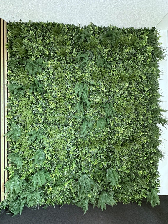 knstlicher kirschlorbeer Purgrn Kirschlorbeer-Dnger 1 kg