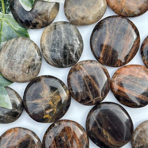 NEW || Black Moonstone Palm