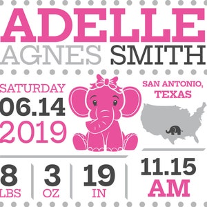 Baby Birth Stats Shadow Box, Baby Birth Stats, Baby Girl, Baby Boy, Birth Information, Baby hanging sign, Shadowbox, Customized Baby Gift