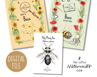 Bee Learning Pack - Etsy